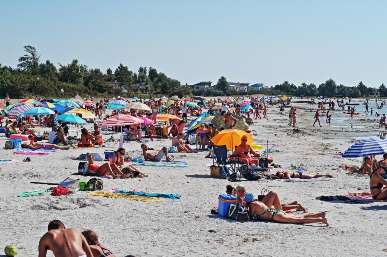 Ferienwohnung Direkt Am Strand In Makkum Ngoại thất bức ảnh